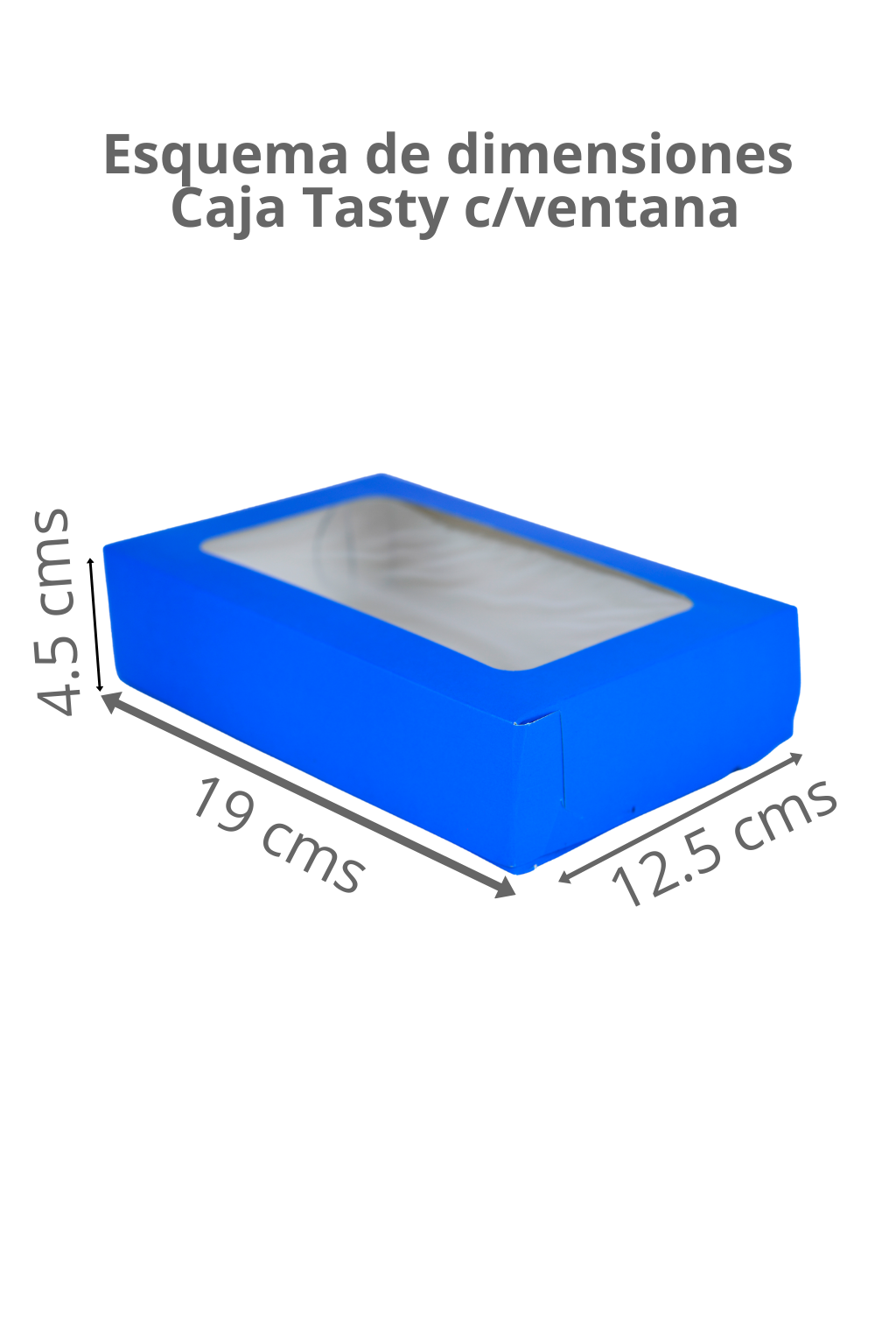 Caja Tasty c/ventana – Paq c/5 Pzas | Variedad de Colores | MAYOREO AVANZADO 35% OFF