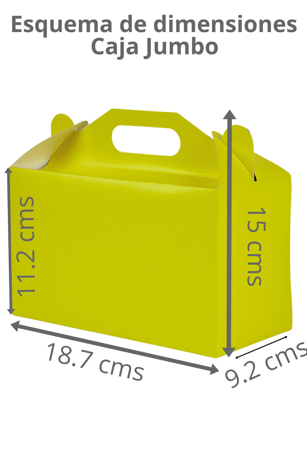 Caja de Dulces Jumbo – Paq c/10 Pzas | Variedad de Colores | MAYOREO AVANZADO 35% OFF