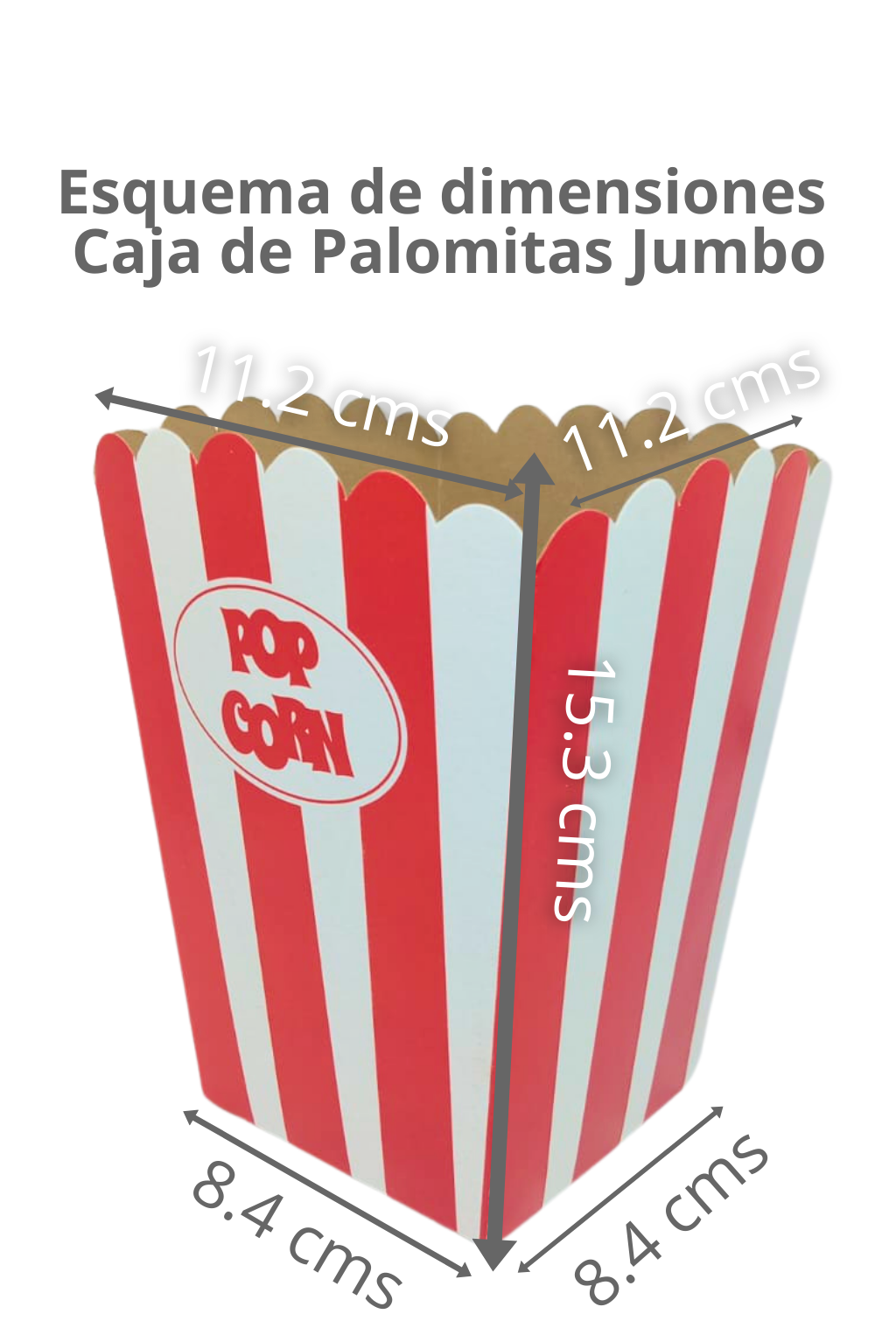 Caja Palomera Jumbo – Paq c/10 Pzas | Variedad de Colores | MAYOREO AVANZADO 35% OFF