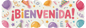 Banner Móvil Jumbo – Diseños para Niña | Fiesta y Cumpleaños | MAYOREO BASICO 10% OFF