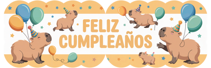 Banner Móvil Jumbo – Diseños para Niña | Fiesta y Cumpleaños | MAYOREO BASICO 10% OFF