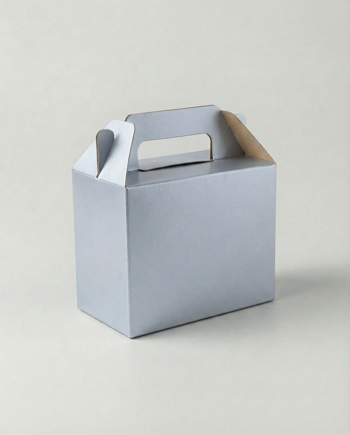 Caja Boxlunch Mini – Paq c/5 Pzas | Variedad de Colores | 8.5 x 8 x 4.2 cm