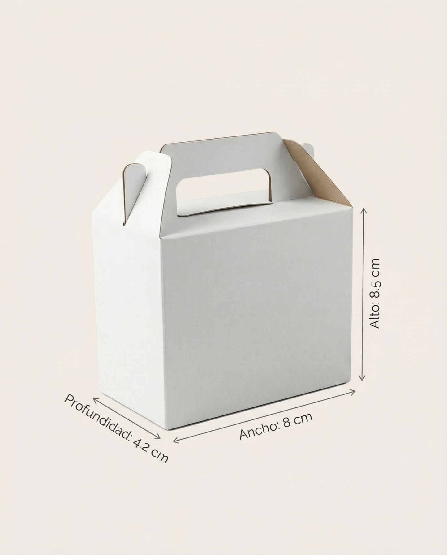 Caja Boxlunch Mini – Paq c/5 Pzas | Variedad de Colores | 8.5 x 8 x 4.2 cm