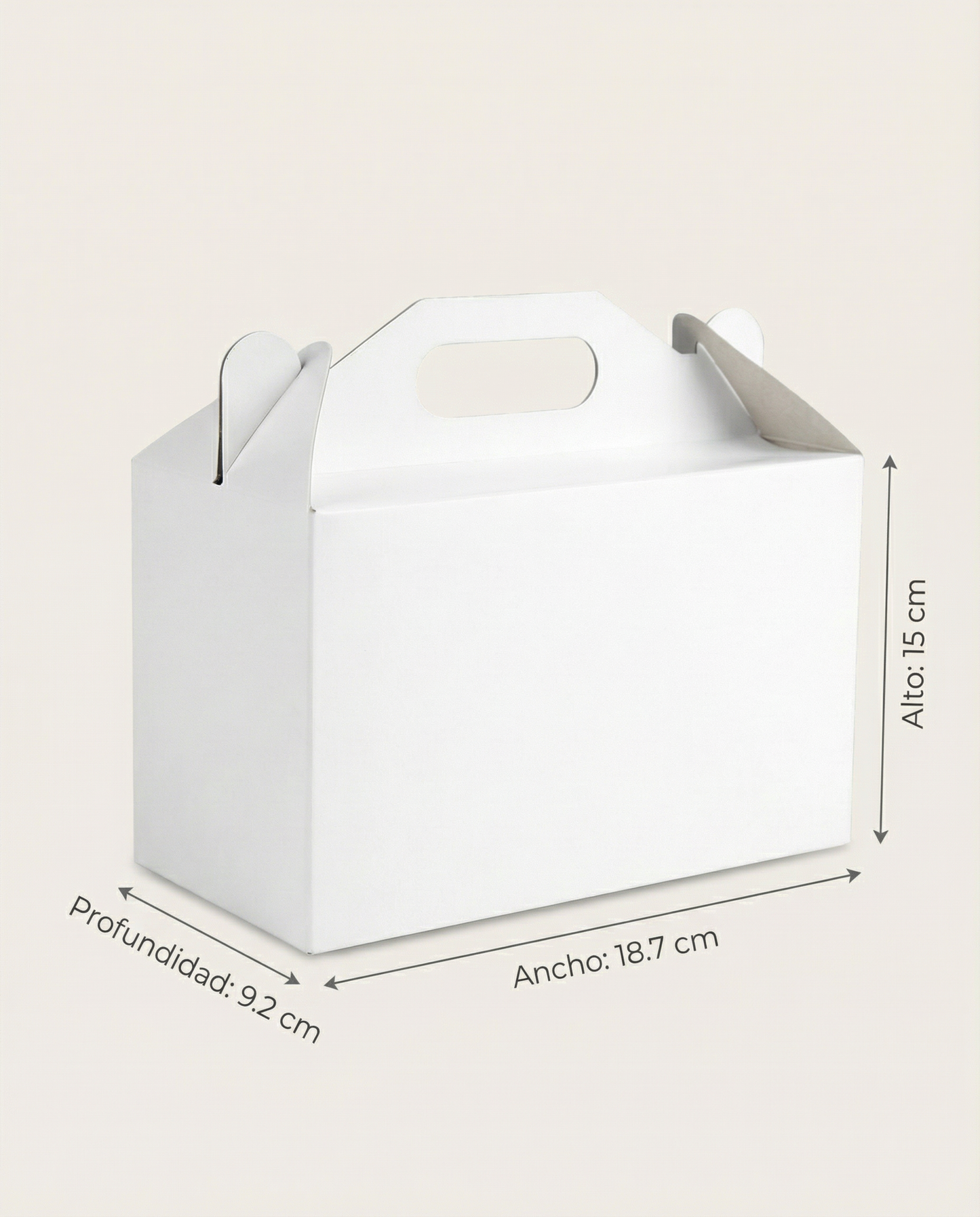 Caja de Dulces Jumbo – Paq c/10 Pzas | Variedad de Colores | 18.7x 15 x 9.2 cms