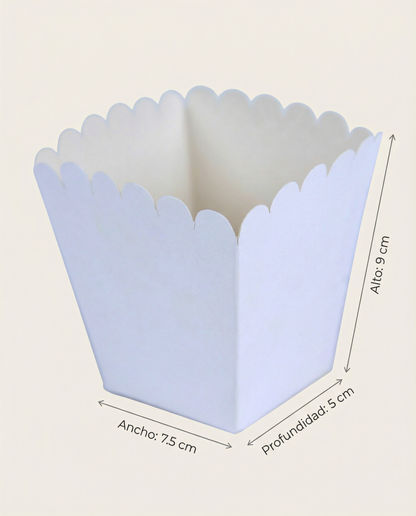 Caja Botanera Mini – Paq c/10 Pzas | Variedad de Colores | 9 x 9 x 7.5 cms